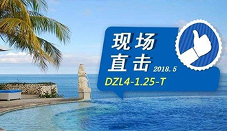 現(xiàn)場直擊丨看生物質(zhì)鍋爐在巴厘島如何強操作，回頭客非它不選